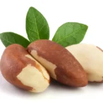 brazil nut