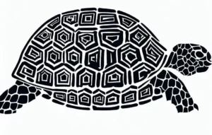 Tortoise diagram