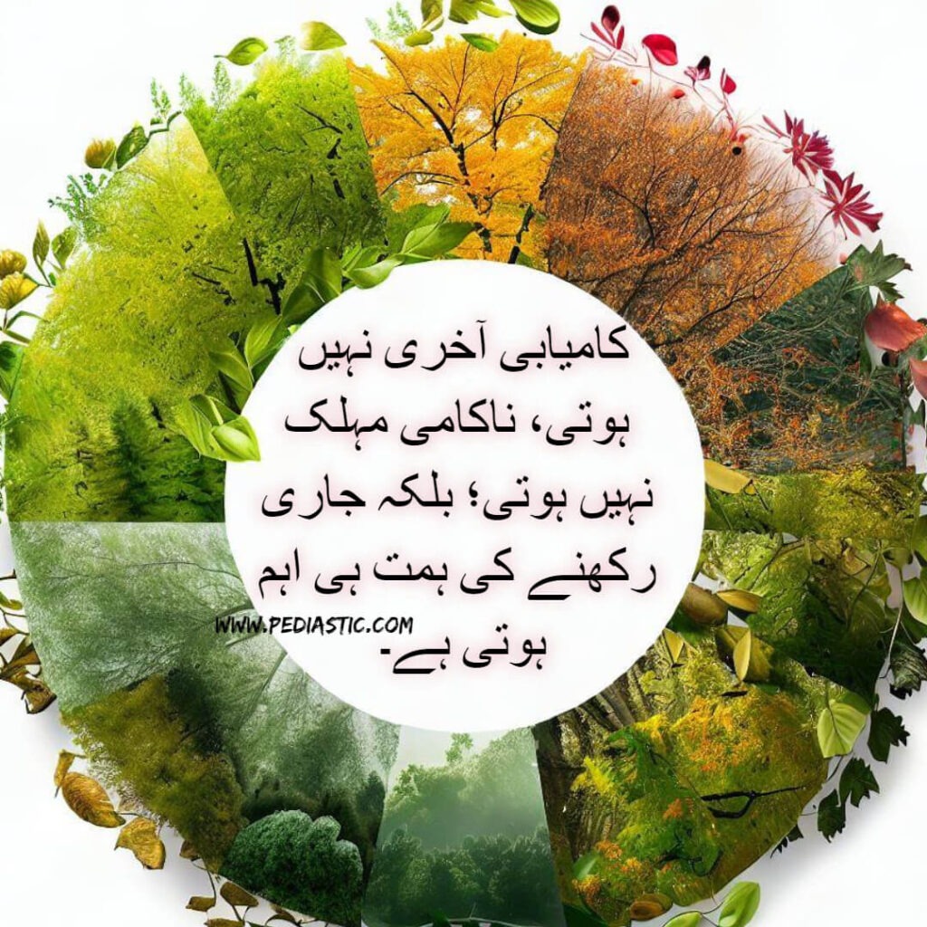 motivational quotes in urdu for success 